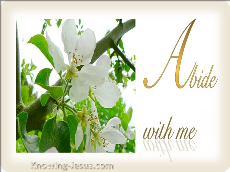 Abide With Me (devotional)10-07 (white) 